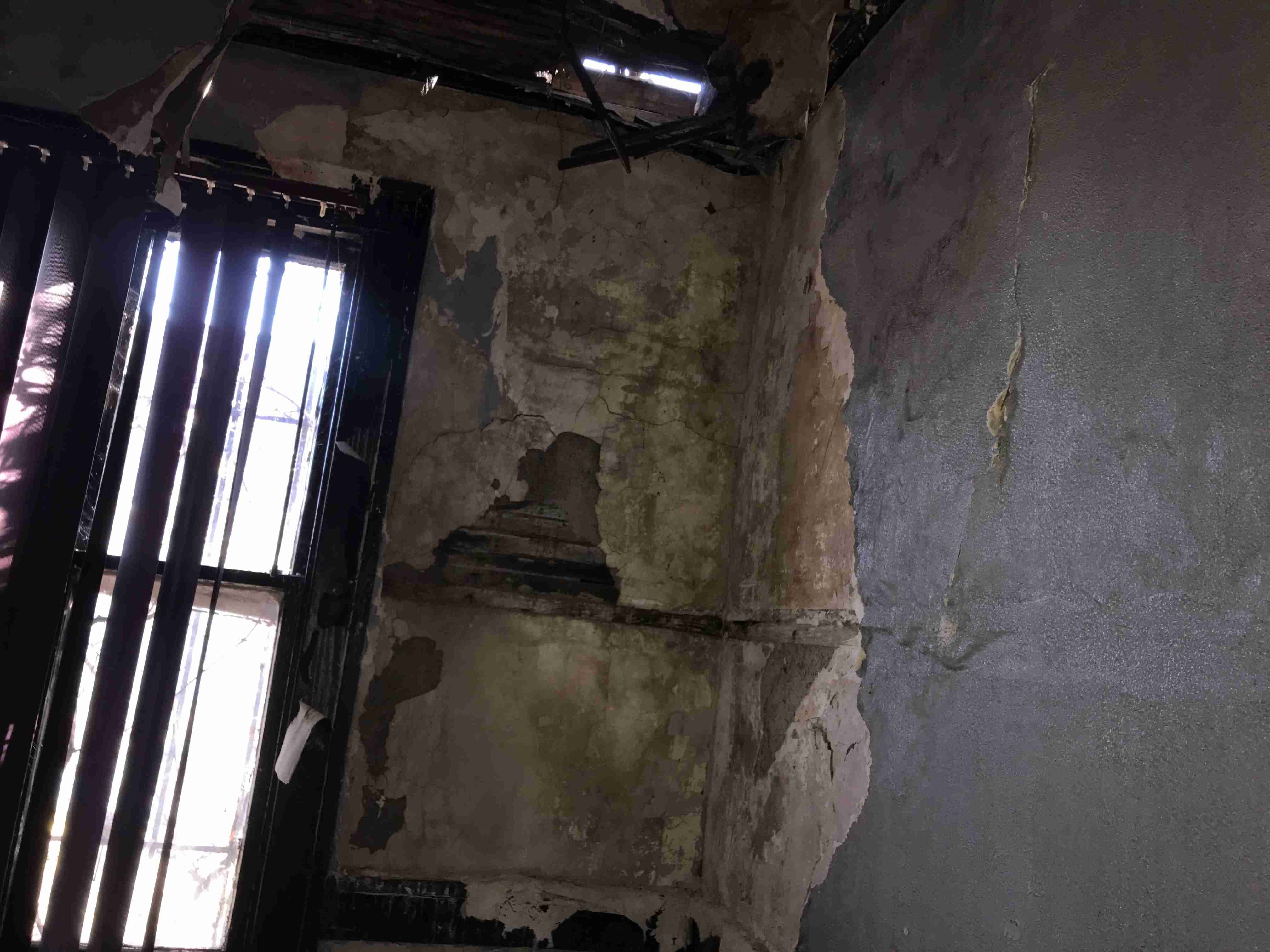 Photo Nov 03, 2 17 17 PM.jpg